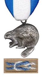 Silver Beaver Award